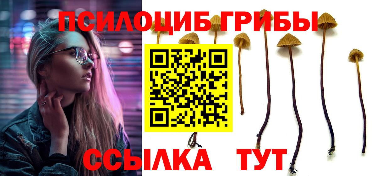 Галлюциногенные грибы ЛСД Шахты